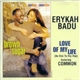Erykah Badu Featuring Common - Love Of My Life (An Ode To Hip Hop)